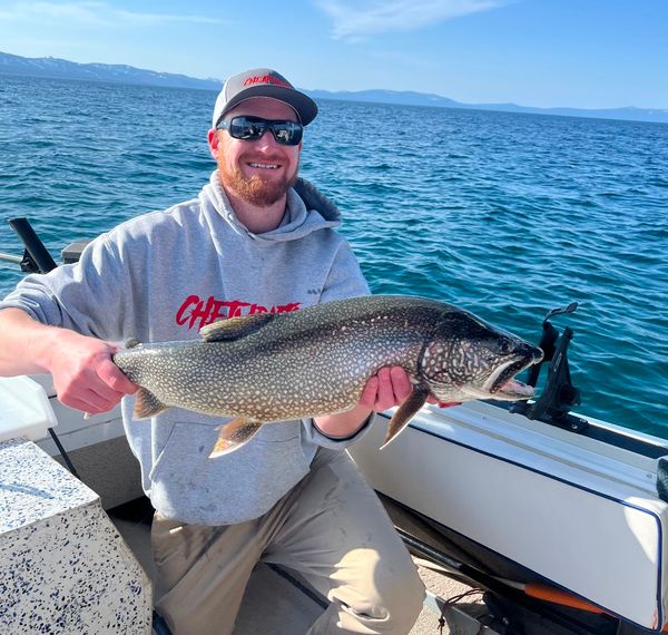 Tahoe Trophy Trout