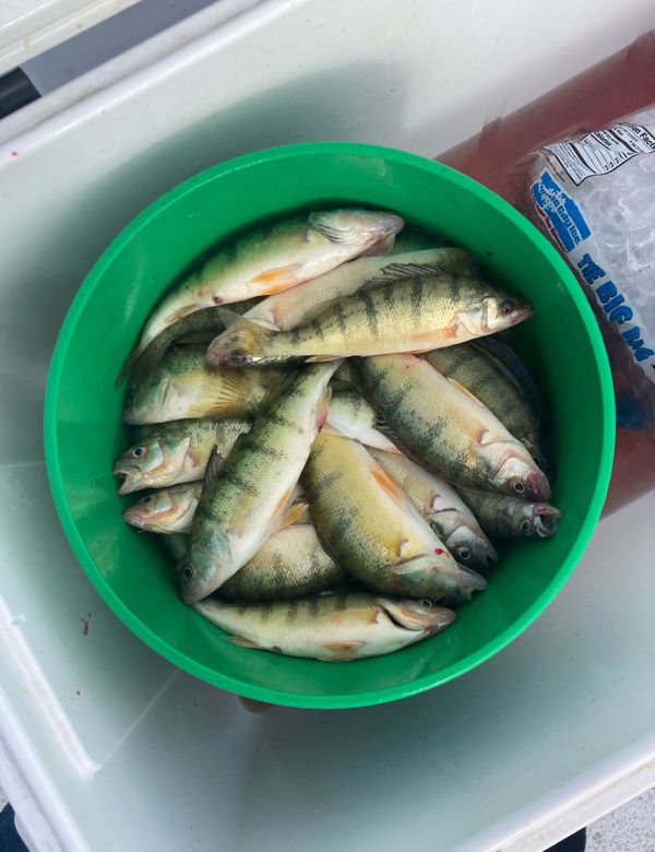 Stackin Fish Charters