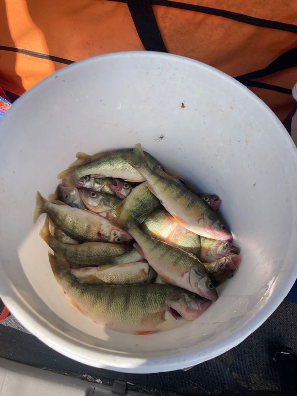 Stackin Fish Charters