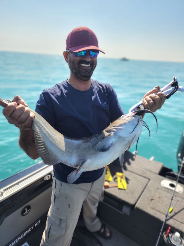 Get Hooked Fishing Charters Detroit