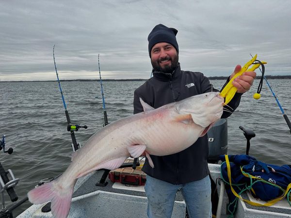 Southern Monsters Guide Service 