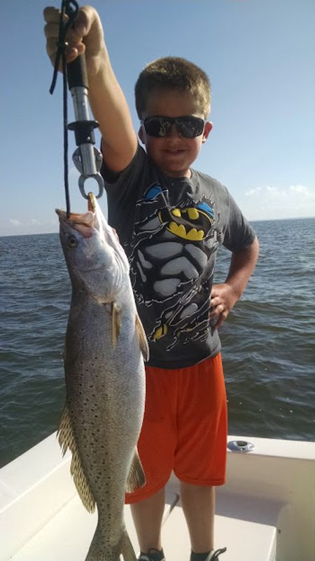 Point Clear Charters
