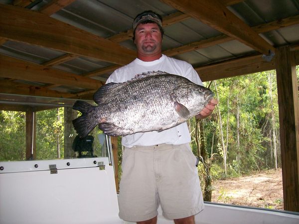 Point Clear Charters