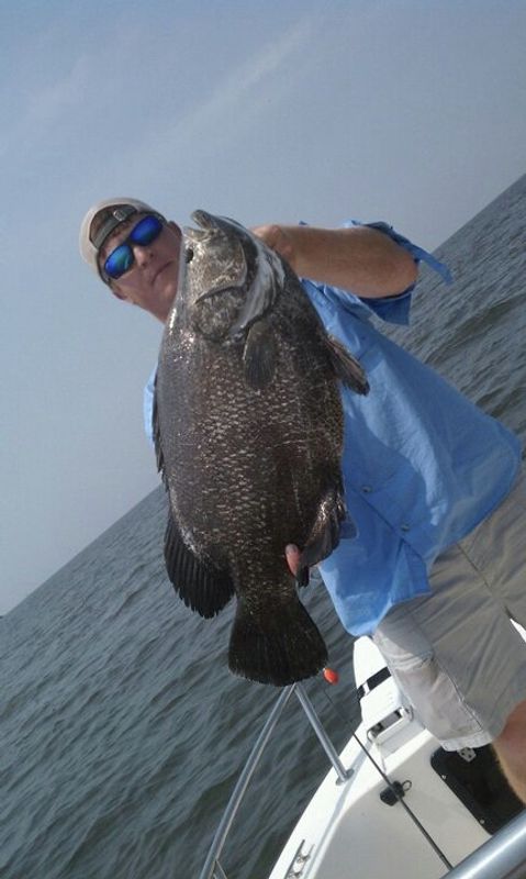 Point Clear Charters