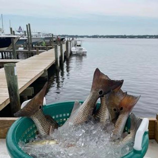Blue Water Charters