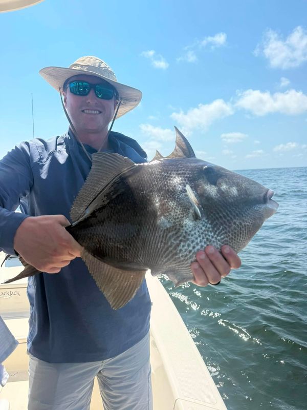 Salty Cedar Charters