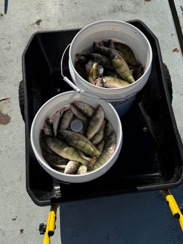 It’s Called Fishin’