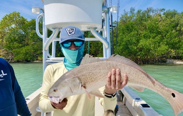 MM Charters