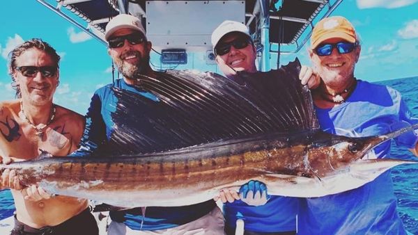 Bigfish SGI