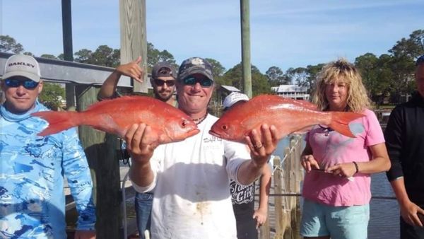 Bigfish SGI