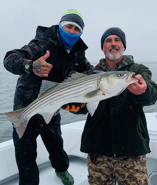 Rock Steady Luxury Charters