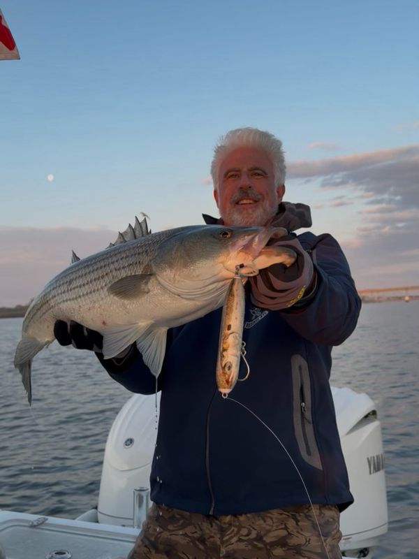 Rock Steady Luxury Charters