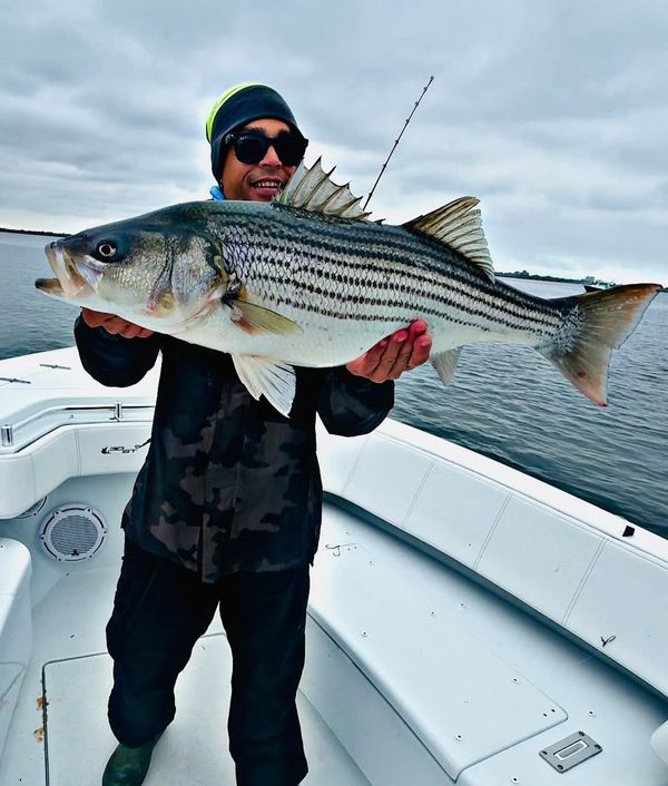 Rock Steady Luxury Charters