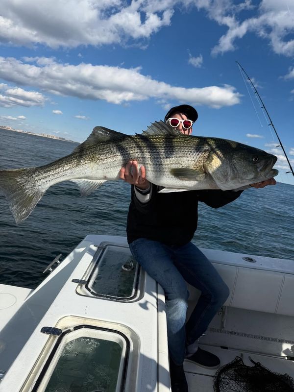 Rock Steady Luxury Charters