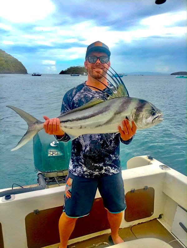 Sea Wave Sportfishing