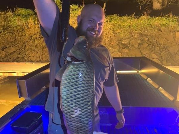 Full Draw Bowfishing