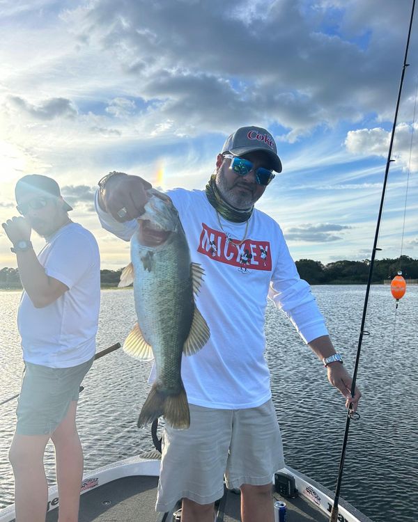 Peacock Bass South