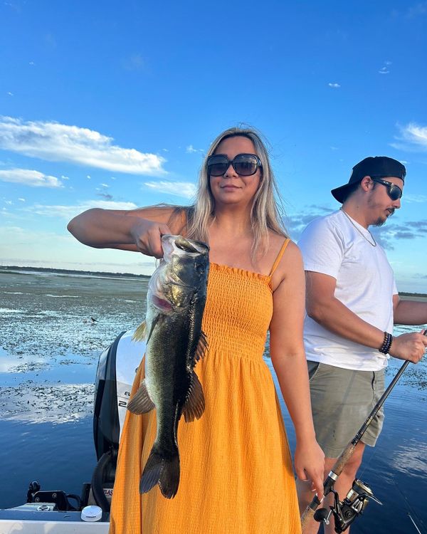 Peacock Bass South