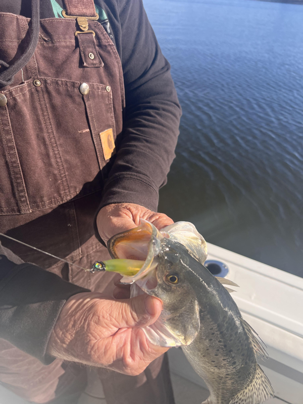 Pamlico Pirate Fishing Charters