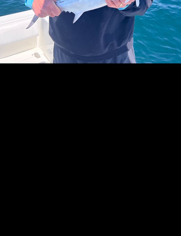 Pamlico Pirate Fishing Charters