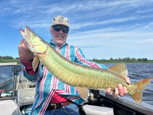 Tibbs Fishing Adventures