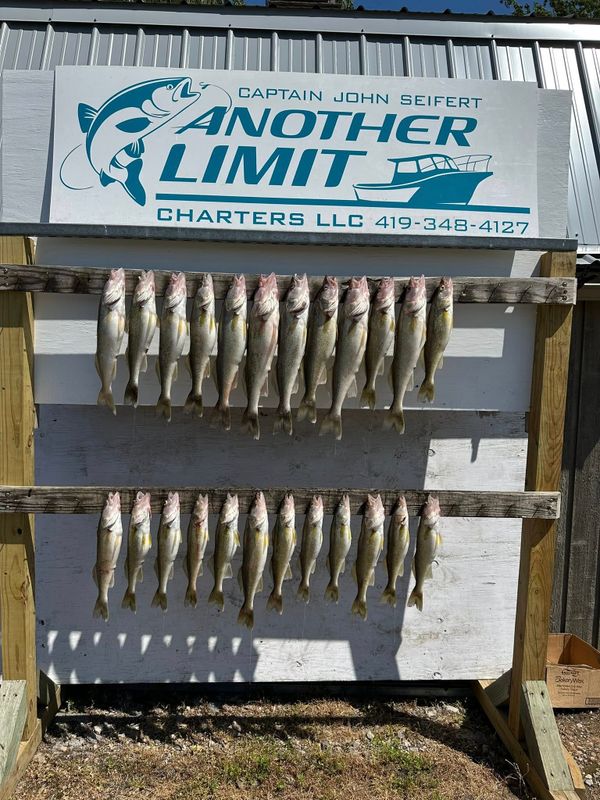Another Limit Charters