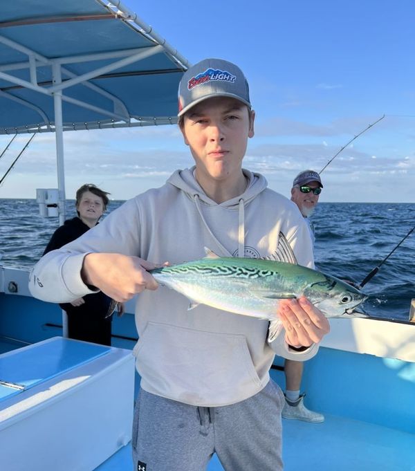 Windwalker II Charters