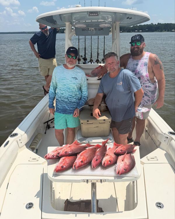 Team Vinson Charters