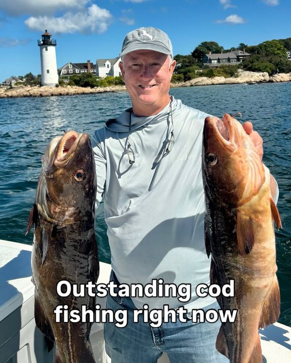 Lowe Island Fish Camp