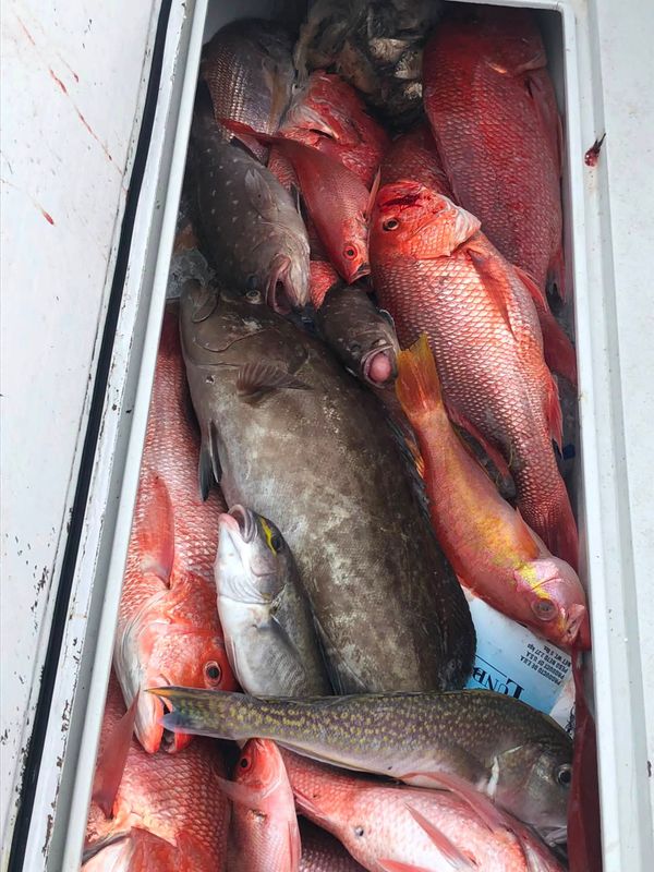 Massacre Island Fishing Adventures