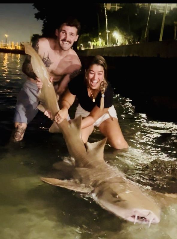 Shark zone Miami 