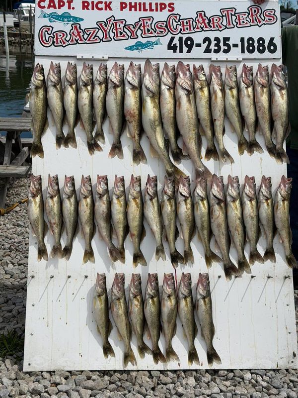 Crazy Eyes Charters