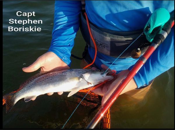 Mid Coast Outfitters POC