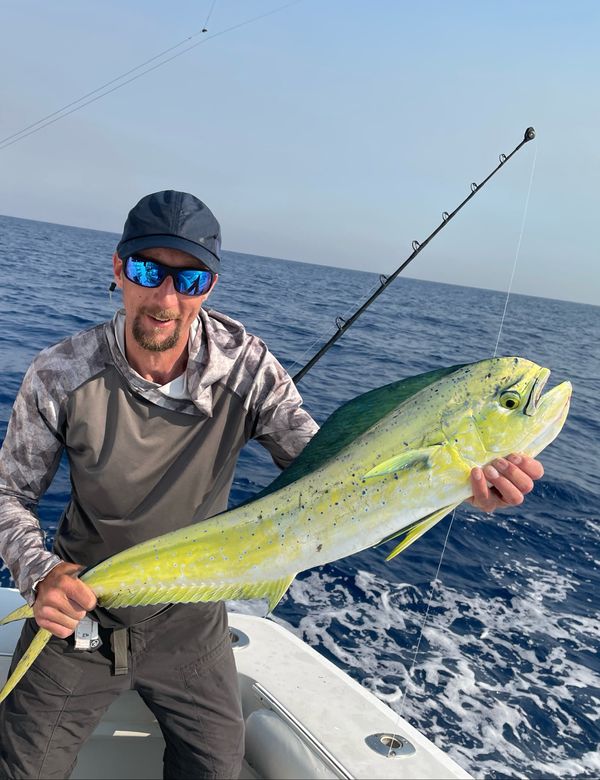 North Emerald Charters