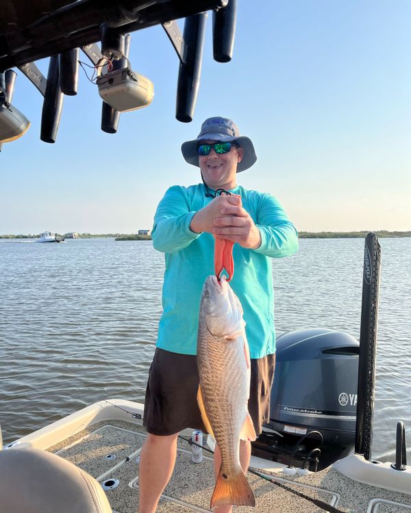 Wicked South Charters
