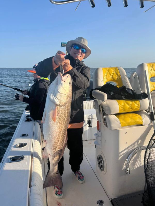 Pier Pressure Charters