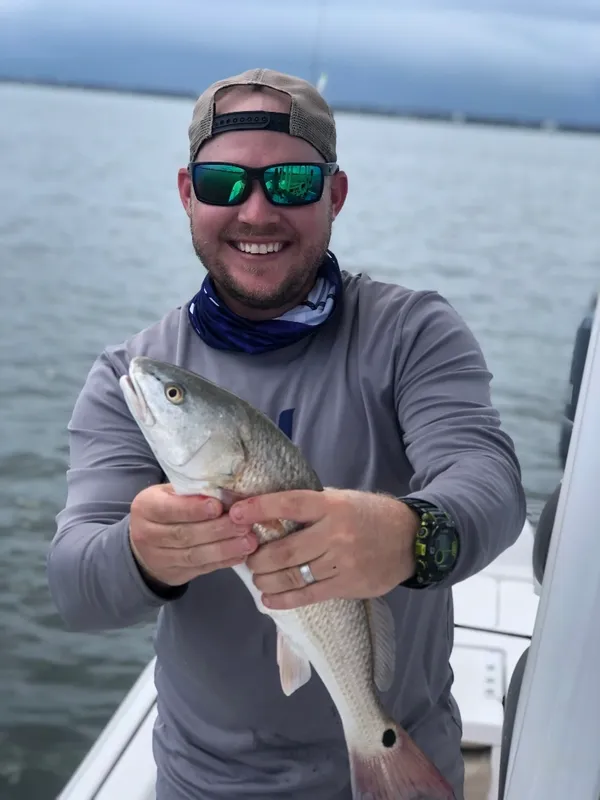 Charter Sauce Fishing