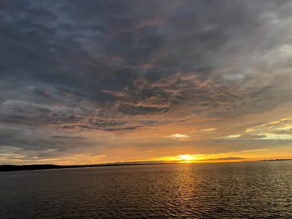 Charter Sauce Fishing