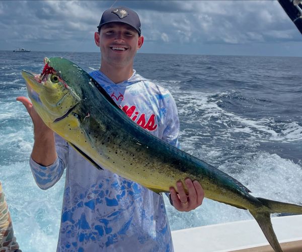 Last Cast Charleston 