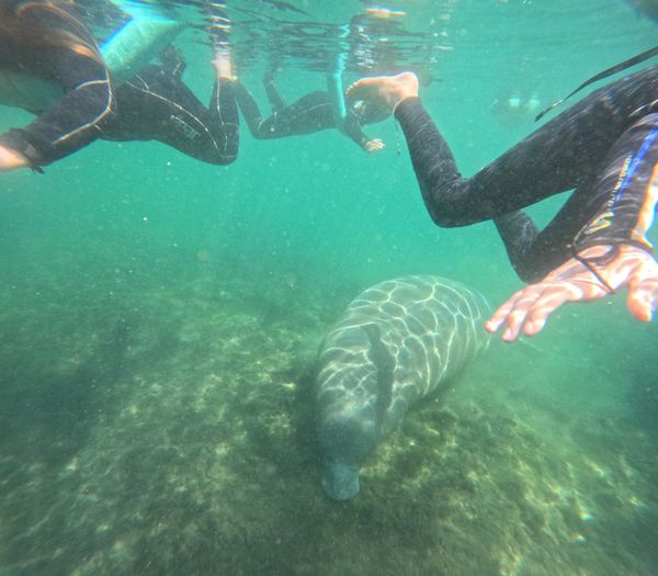 Scalloping & Tours with Seadaddys Dive Center