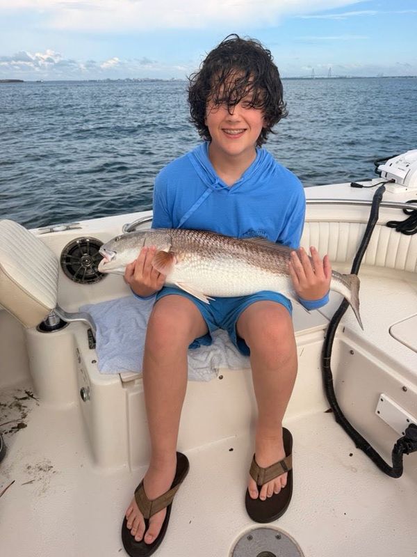 Spanish Moss Charters