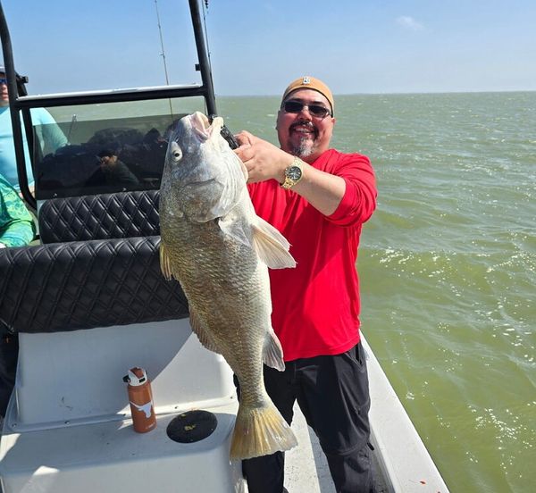 Zander Ray On The Bay Fishing Charters