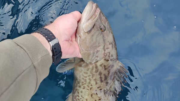 Reel Salt Charters