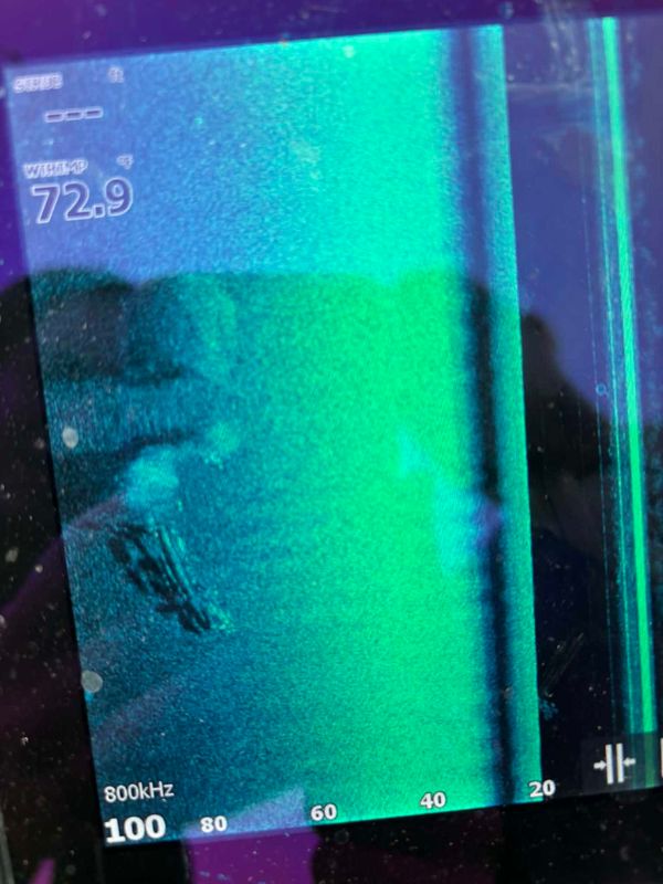 M.O.A. Guide Services