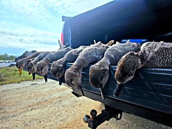 Russell & Sons Outdoors