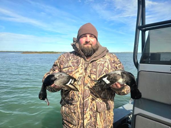 Russell & Sons Outdoors