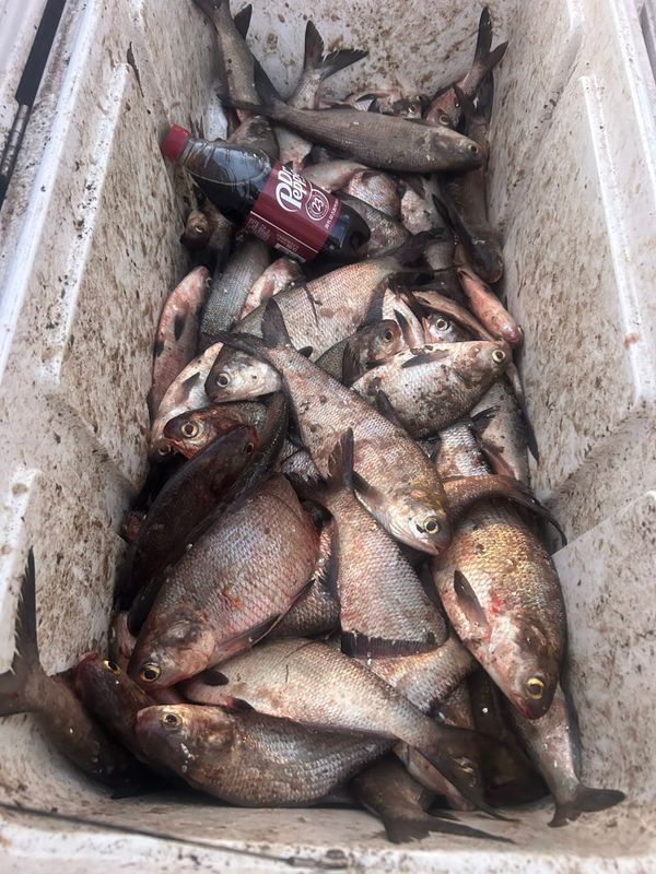 Carey Thorn Fishing
