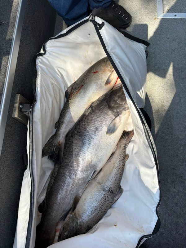 Trophy Catcher Guide Service