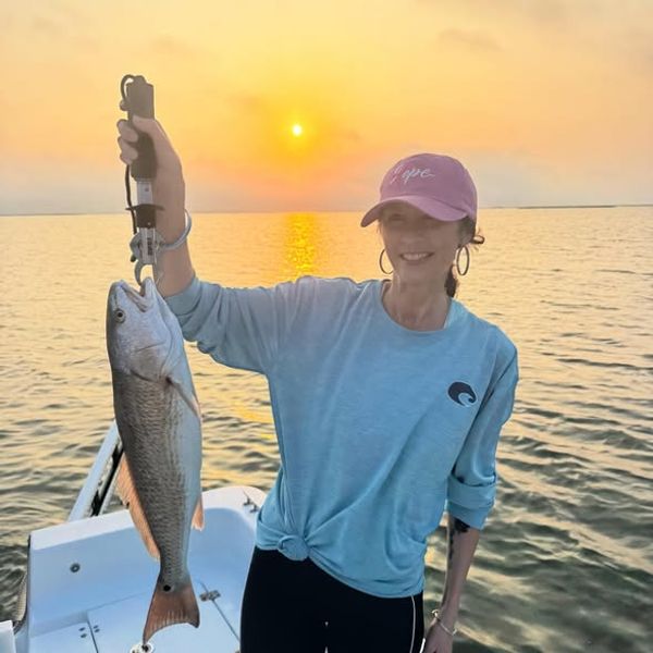 Corks And Croakers
