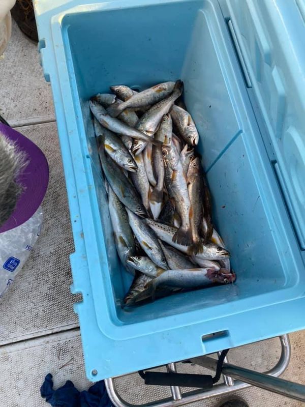 RSOME Fishing Charters & Guide Service